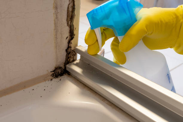 Best Industrial Mold Remediation  in Sisco Heights, WA